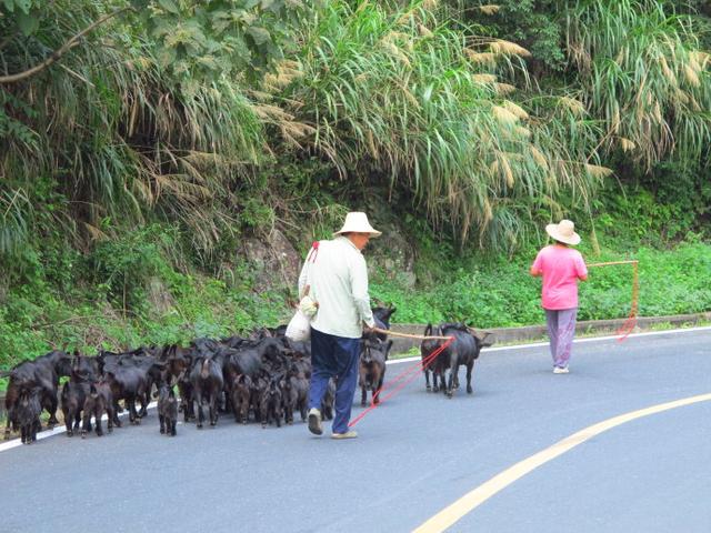 如何使用壓力罐打造山泉自來水